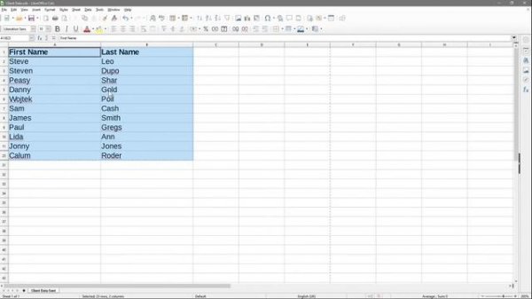 How to remove duplicates from a spreadsheet using Libre Office Calc