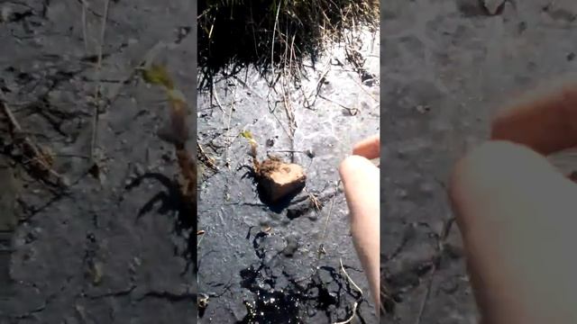 Мазут смотреть онлайн