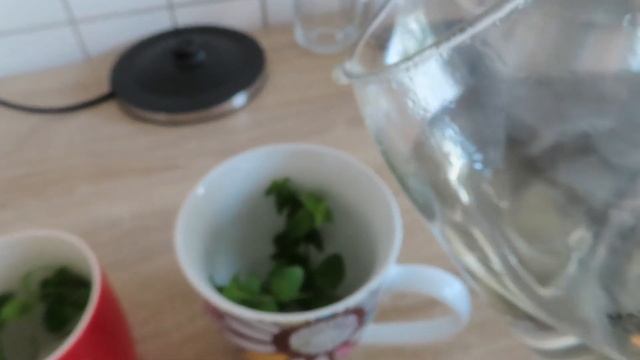 Учебник по Творческому Процессу