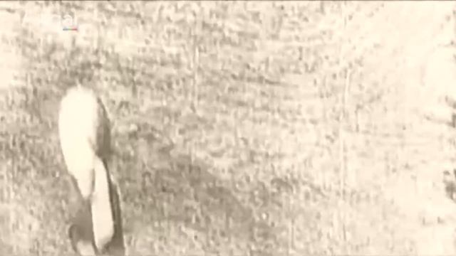1936.03.29 Дорнод хилийн мөргөлдөөн смотреть онлайн