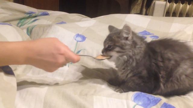 Мася смотреть онлайн