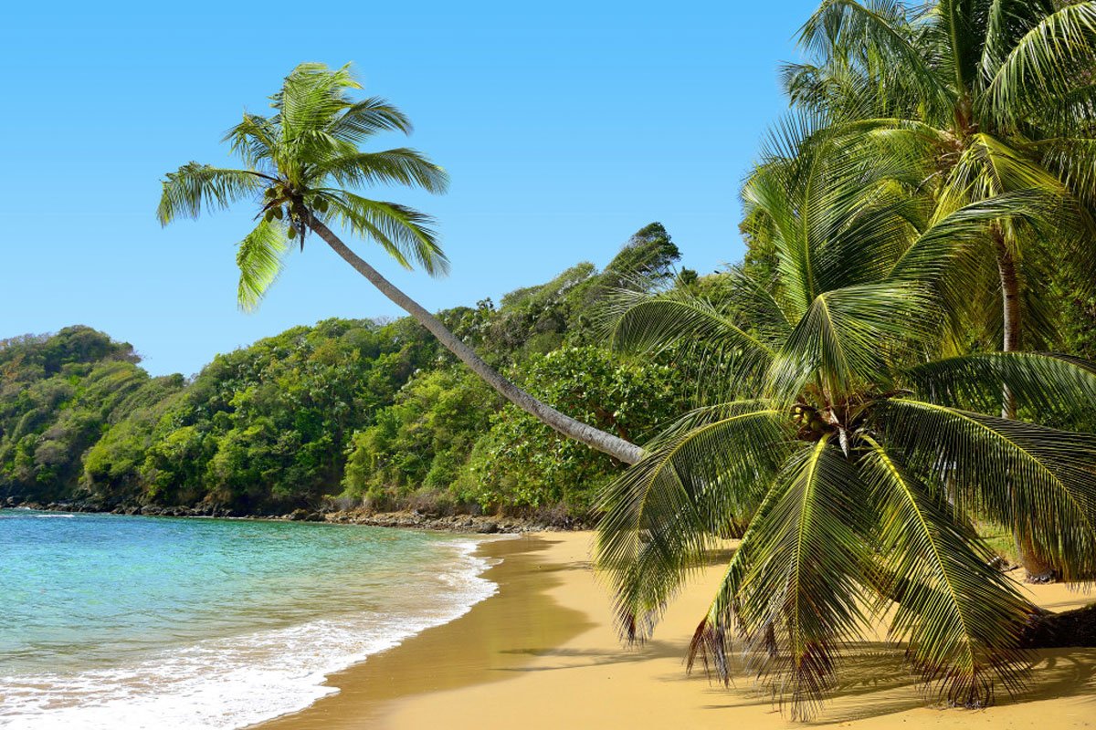 «Тринидад и Тобаго» ИМПРОВИЗАЦИЯ композитор Виктор Анохин #instrumentalmusic #bossanova #afrolatin