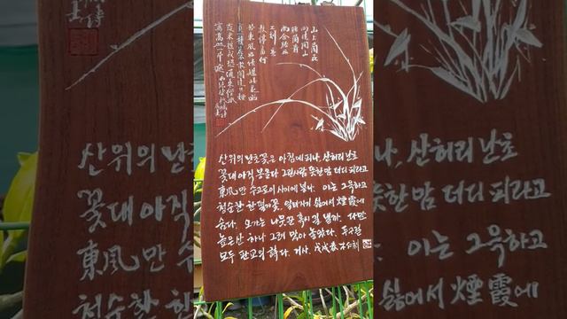 Bu Yang Orchid World Walkeriana