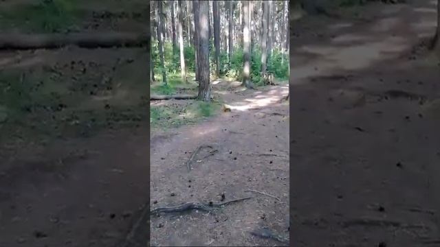 Записки егеря - Холодильник для белки смотреть онлайн