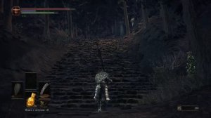 КАК ПРОЙТИ В ИРИТИЛЛ/ГДЕ НАЙТИ КУКЛУ DARK SOULS 3