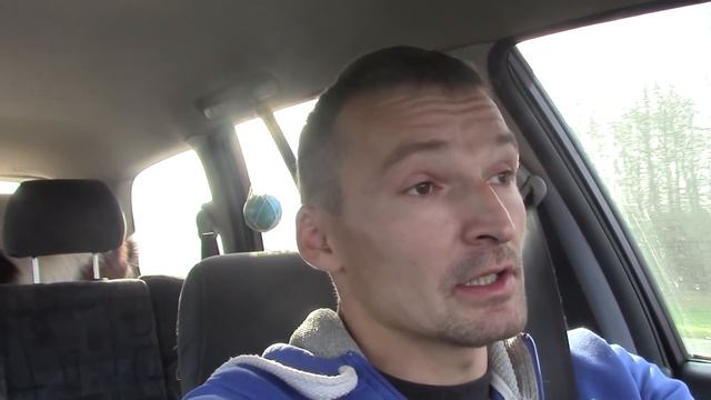 Чистка стада смотреть онлайн