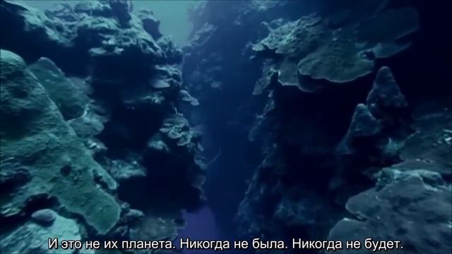 Природа говорит / Харрисон Форд - Океан смотреть онлайн