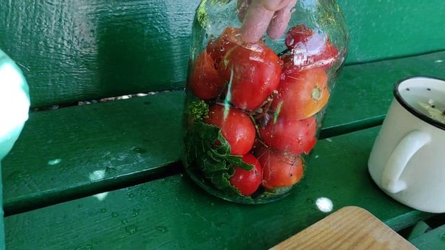 газированные помидоры смотреть онлайн