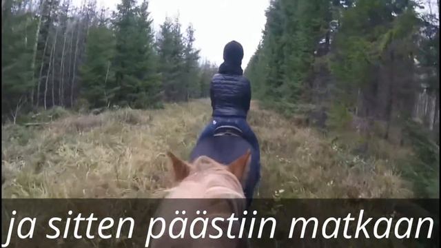 Päivä Aurinkolaukassa смотреть онлайн