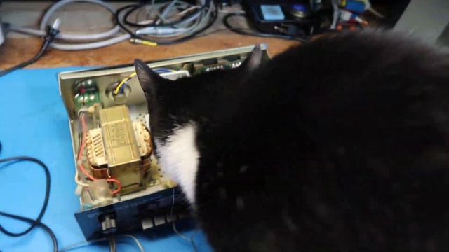 Discovering A Realistic 35 Watt P. A. Amplifier