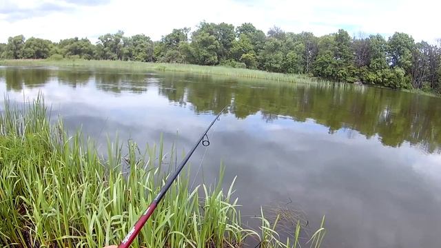 Язь, щучка и судак на реке Ворона. Крэнк, воблер и силикон. смотреть онлайн
