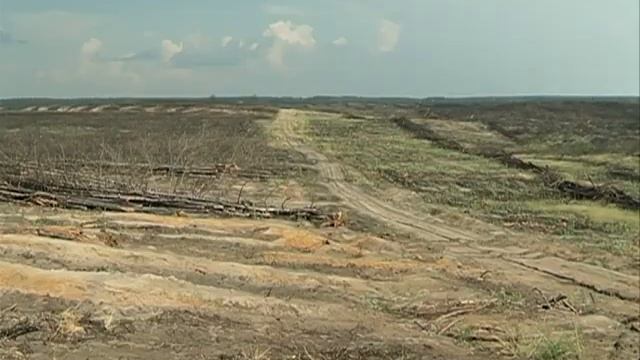 Зелёный океан жизни смотреть онлайн