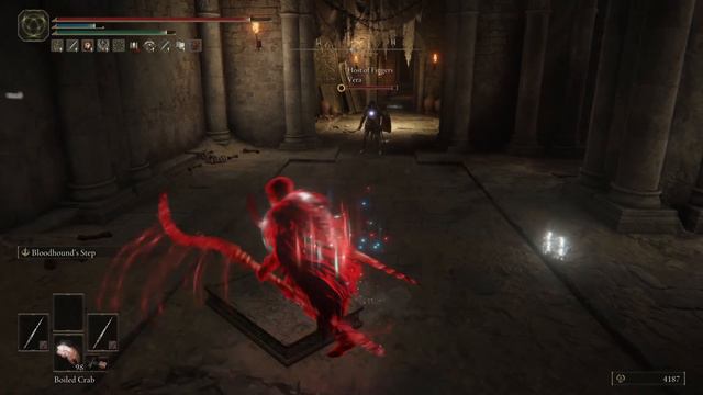 Elden Ring Dual Blood Godskin Peelers PVP 1 смотреть онлайн