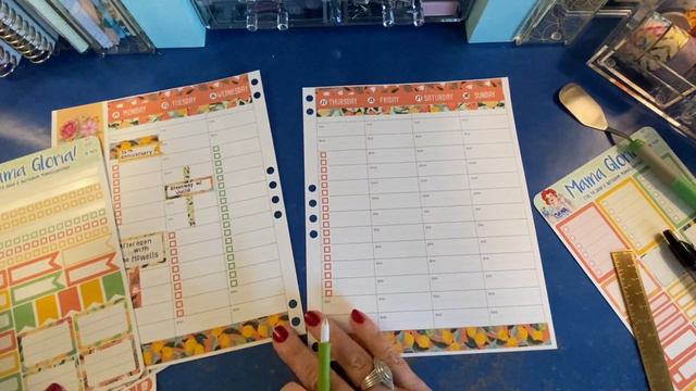 Plan With Me! | May 24-30 | Erin Condren Hourly | Mama Gloria Citrus Theme смотреть онлайн