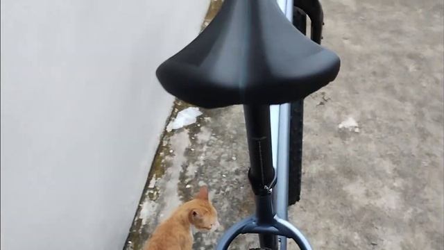 Giant Yukon 2 27.5 Fat Bike смотреть онлайн