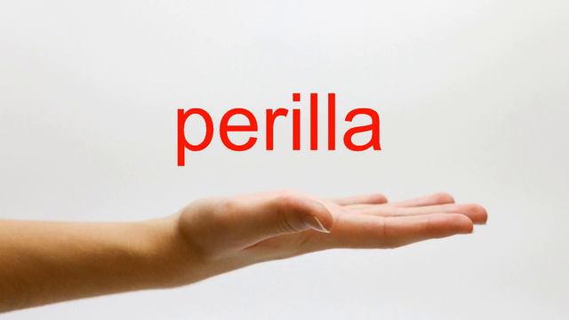 How to Pronounce perilla - American English смотреть онлайн