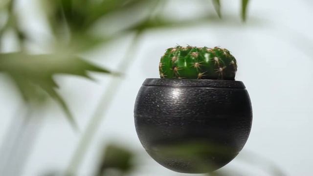 Левитирующие горшки NatureLove. Что за чудо? смотреть онлайн