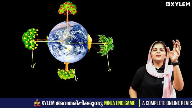 Class 9 Maths + Physics | Marathon Revision 4 Important Chapters! | Xylem Class 9 смотреть онлайн
