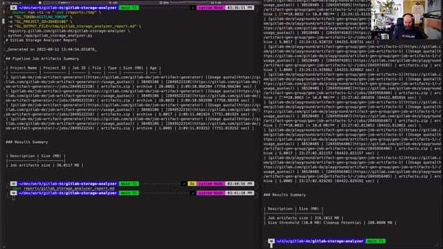 Developer Evangelism demo: GitLab Storage Analyzer v0.1.1, 2022-08-12 смотреть онлайн