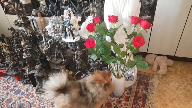 БЛАГОДАРЮ ЗА РОЗЫ... ВЕДЬМИНА ИЗБА ● ИНГА ХОСРОЕВА смотреть онлайн