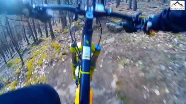 MTB Enduro/Downhill with the Radon Swoop 175 7.0 Let's Bike #3