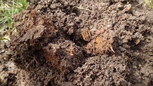 XP DEUS 2. Работает по выбитым местам как пылесос! Находки приятно удивили и порадовали. #xpdeus2