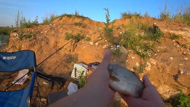 Жара июль на рыбалку плюнь! Рыбалка на фидер! Река Ока смотреть онлайн