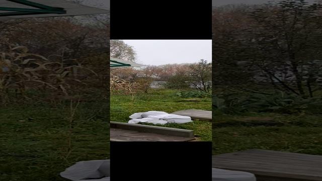 На даче в огороде снег в сентябре