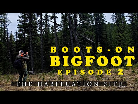 Boots-On Bigfoot | Episode 2 | The Habituation Site смотреть онлайн