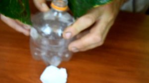 Укоренение и размножения КРОТОНА (листом) №2