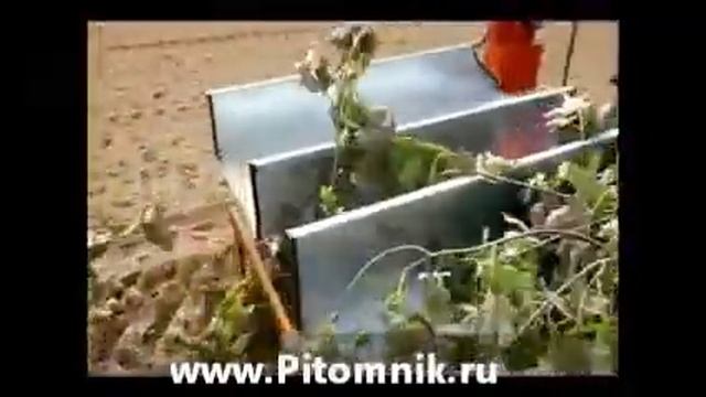 посадка саженцев, сеянцев посадочной машиной смотреть онлайн