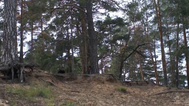 ziby 2012 смертельная гора.mp4 смотреть онлайн