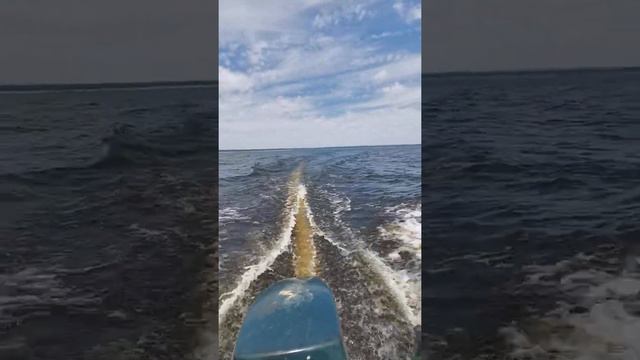 Ветерок8, зейское водохранилище смотреть онлайн