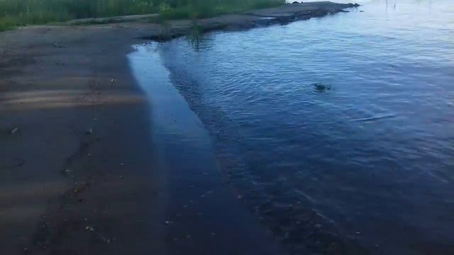 Змея на Гавриловой Поляне. смотреть онлайн