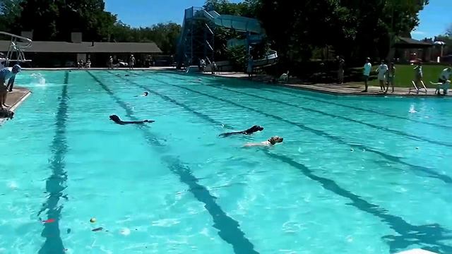 More Dog Dayz at Scott Carpenter Pool смотреть онлайн