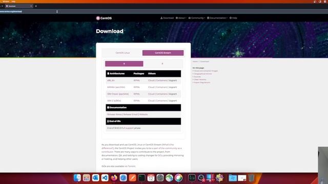 Introduction to CI/CD Pipelines | NetGru смотреть онлайн