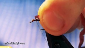 Личинка Веснянки, Стрекозы и просто эффектная нимфа