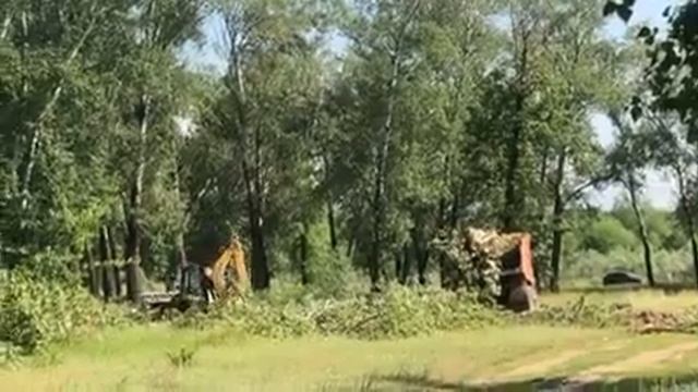В Энгельсе вырубают лес смотреть онлайн