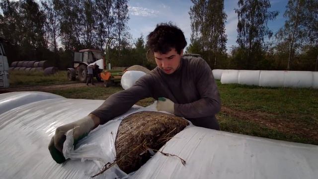 Продаём сенаж