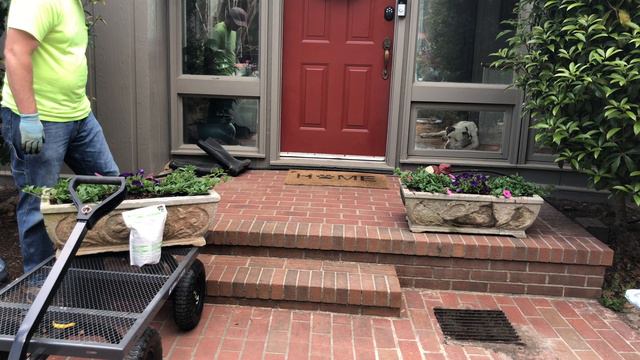 Concrete Planters with SuperTunia Vista Bubblegum & Royal Velvet & Garden Safe Slug & Snail Bait смотреть онлайн