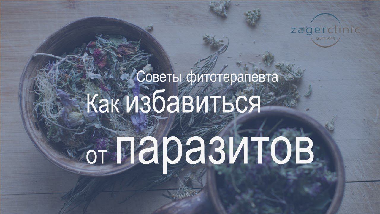 Как избавиться от паразитов в организме человека | Варианты лечения смотреть онлайн