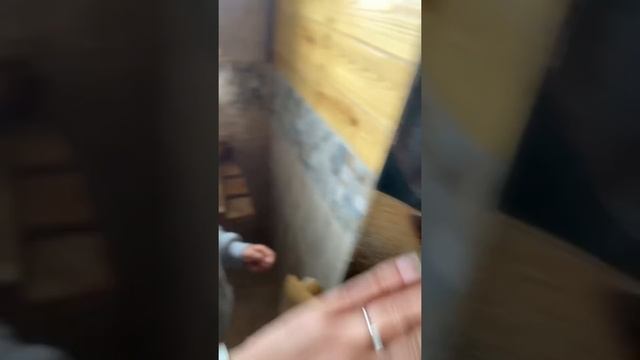 БАНИ НА МАЛИНОВОЙ МАГНИТОГОРСК смотреть онлайн