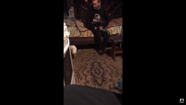 У Юрбана горе , болит живот смотреть онлайн