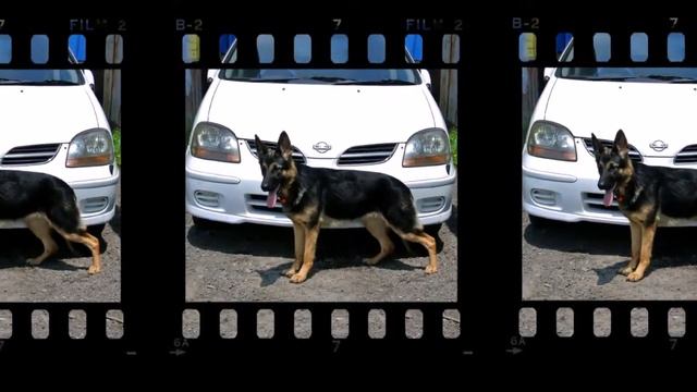 Берег Де Фриз 1 смотреть онлайн