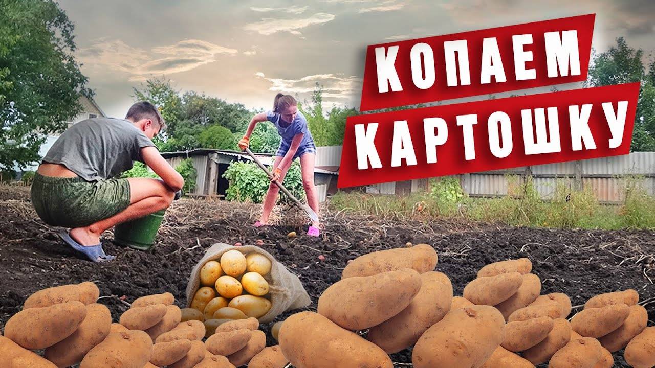 The EDA .Копаем еду из земли смотреть онлайн