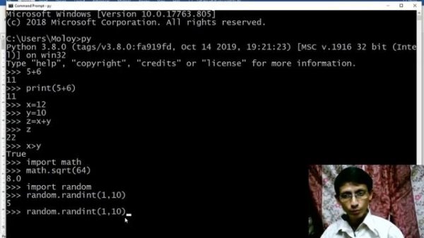python 3 8 tutorial using command prompt and python IDLE to run python code