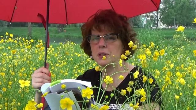 Ольга Козловская Ненужная строка 7 06 19 смотреть онлайн