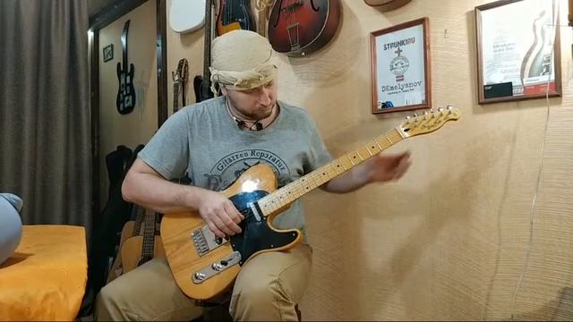 Harley Benton костяной порожек DEmelyanov, датчики Fokin