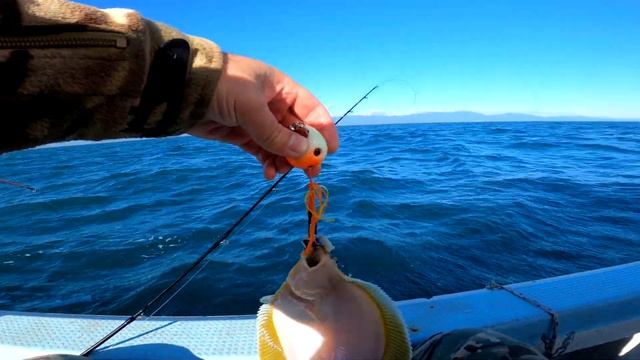 Рыбалка на камбалу (слоуджиг), Сахалин, Стародубское, 18 09 2021 смотреть онлайн