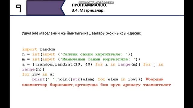 Python. Матрицалар. Информатика 9-класс. смотреть онлайн